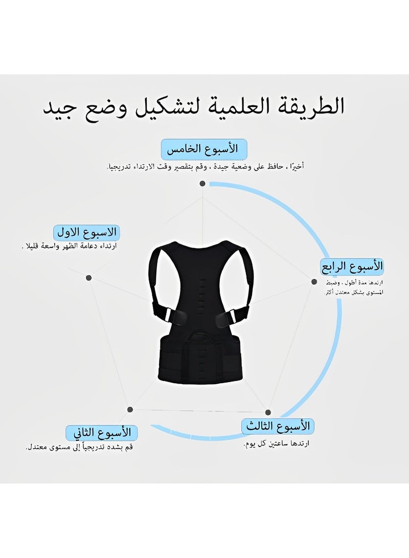 ريوكل دعامة الظهر لتصحيح وضعية الجسم للنساء والرجال، وتقويم الكتف، ودعم كامل للظهر، وتخفيف آلام الظهر العلوي والسفلي، والجنف والحدبة والصدر والعمود الفقري - Image 5
