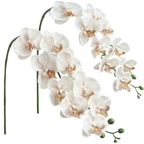 Floroom 2pcs Faux Phalaenopsis Orchid Fake Artificial Flower with Stems Real Touch Large Blooms 40 Inch for DIY Bouquets Wedding Centerpieces Home Decor Warm Beige - Image 1