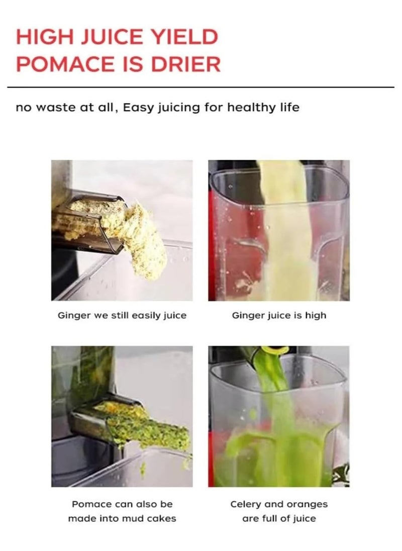 Yameem Nutrition Blender,Juicer Machines, Masticating Juicer, Slow Juicer Extractor Anti-Drip Mouth, Ideal for Nutrient Fruit Sorbet and Vegetable Juice, Anti-Oxidation Slow Juicer for Fruits