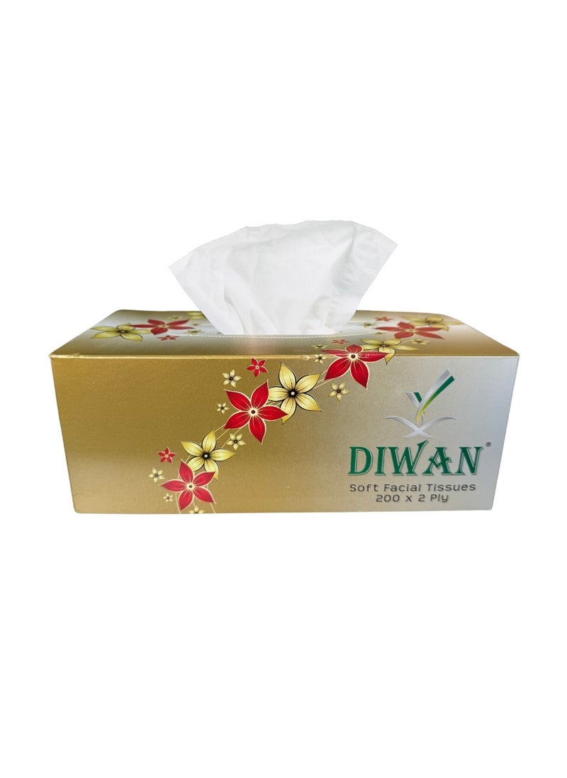 Generic Diwan Facial Tissue - Premium Quality, 14gsm, 19x21cm, 150 Sheets 