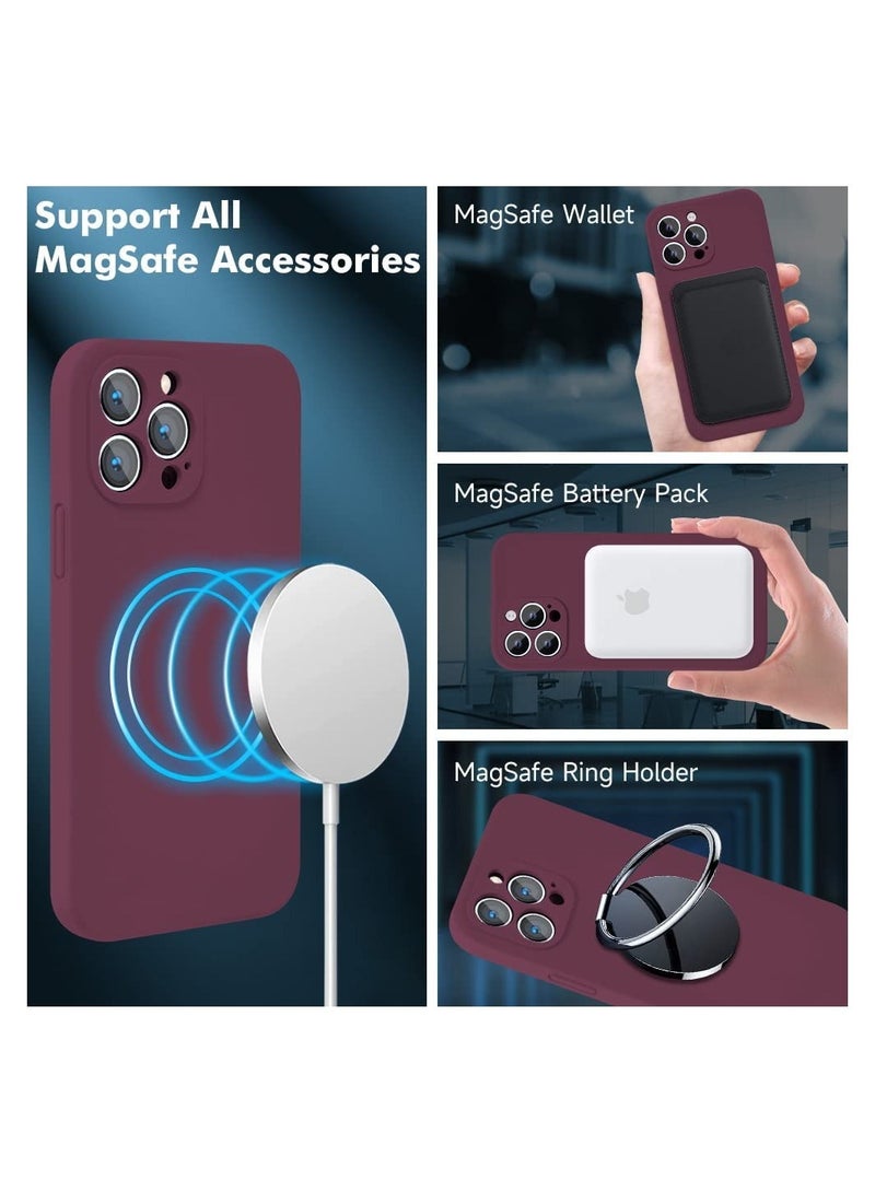 ELTRAZONE Silicone Magnetic Case for iPhone 12 Pro Max with 2 Pack Tempered Glass Screen Protector Magsafe Case - Image 2