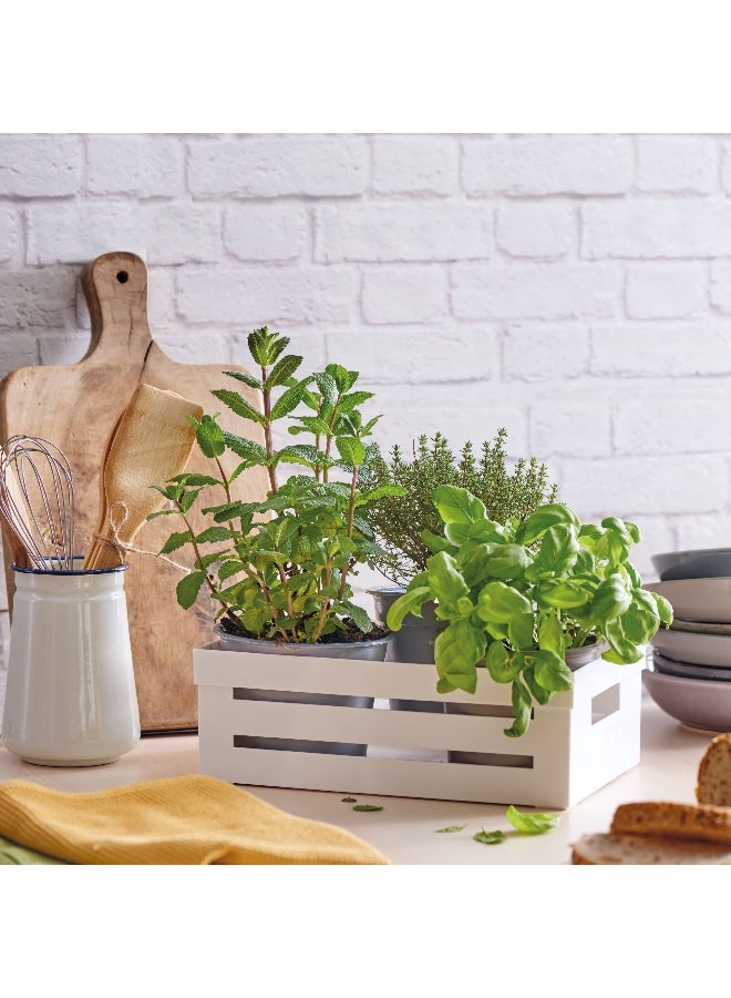 Snips BPA Free Polystyrene Kitchen Organizer White 2 L 000909 - Image 5