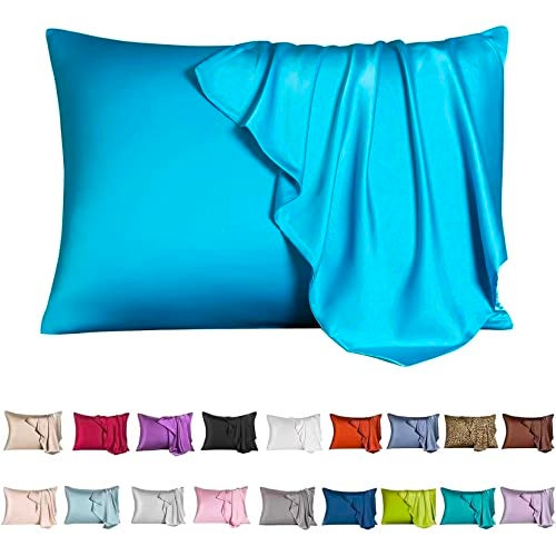 Mulberry Silk Pillowcase for Hair and SkinQueen Size Cooling Silk Pillow Case with Hidden ZipperAllergen Proof Dual Sides Soft Breathable Smooth Silk Pillow Cover for WomenQueenIce Blue
