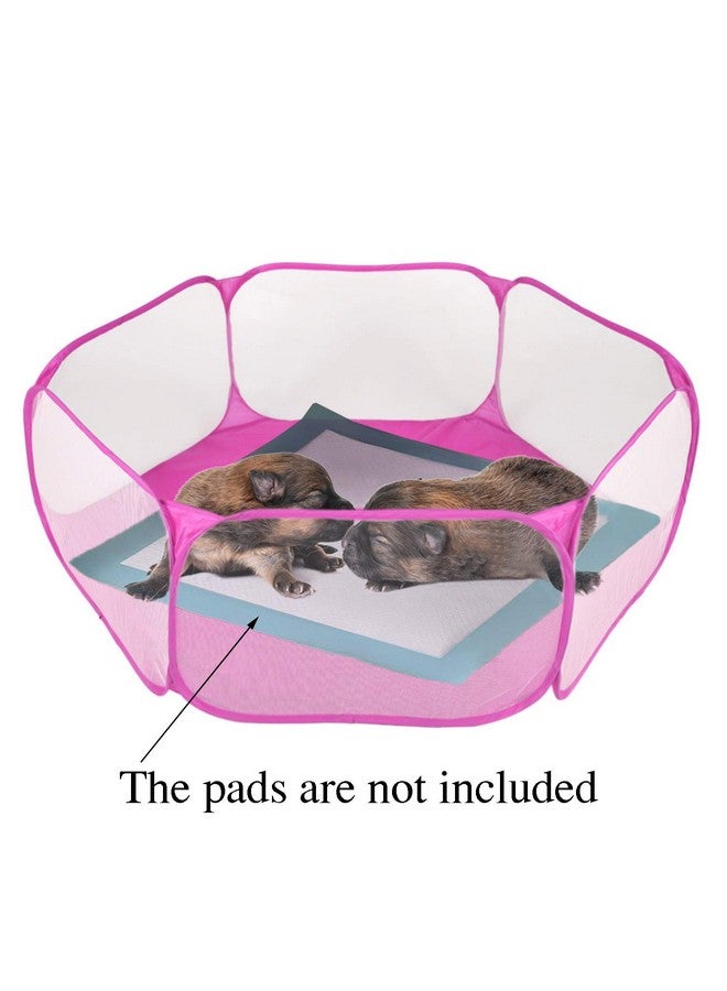 ريبيت حظيرة لعب خنزير غينيا من RYPET - حظيرة لعب للحيوانات الأليفة قابلة للتهوية وشفافة، سياج لممارسة التمارين الرياضية في الهواء الطلق/الداخلي، سياج فناء محمول لخنزير غينيا والأرانب والهامستر والشنشيلة والقنافذ - Image 2