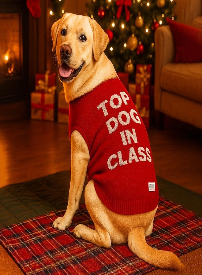 Zigly Lifestyle Varsity Top Pup Scholar Dog Sweater - Red | Knitted Pet Pullover | Warm Winter Wear for Dogs | Soft, Stretchable & Easy to Wear Pet Sweater Size - 3XL - Image 4