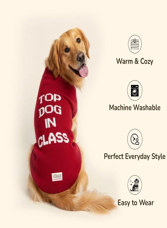 Zigly Lifestyle Varsity Top Pup Scholar Dog Sweater - Red | Knitted Pet Pullover | Warm Winter Wear for Dogs | Soft, Stretchable & Easy to Wear Pet Sweater Size - 3XL - Image 3