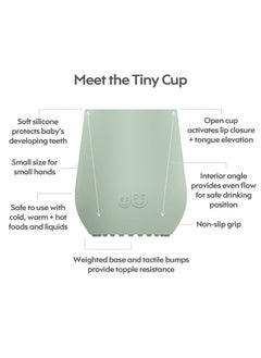 EZPZ Tiny Cup - Sage - pzsku/Z7D07DF440646302EA18FZ/45/_/1740647907/1b255db0-3c7a-4320-9d51-99b00ac5bbcf