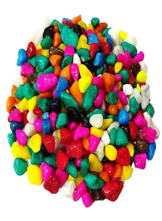 DS1 Multi-Colored Pebbles, Gravels, Stones for Aquarium and Home Decoration, Multi-Colored (900) - Image 2