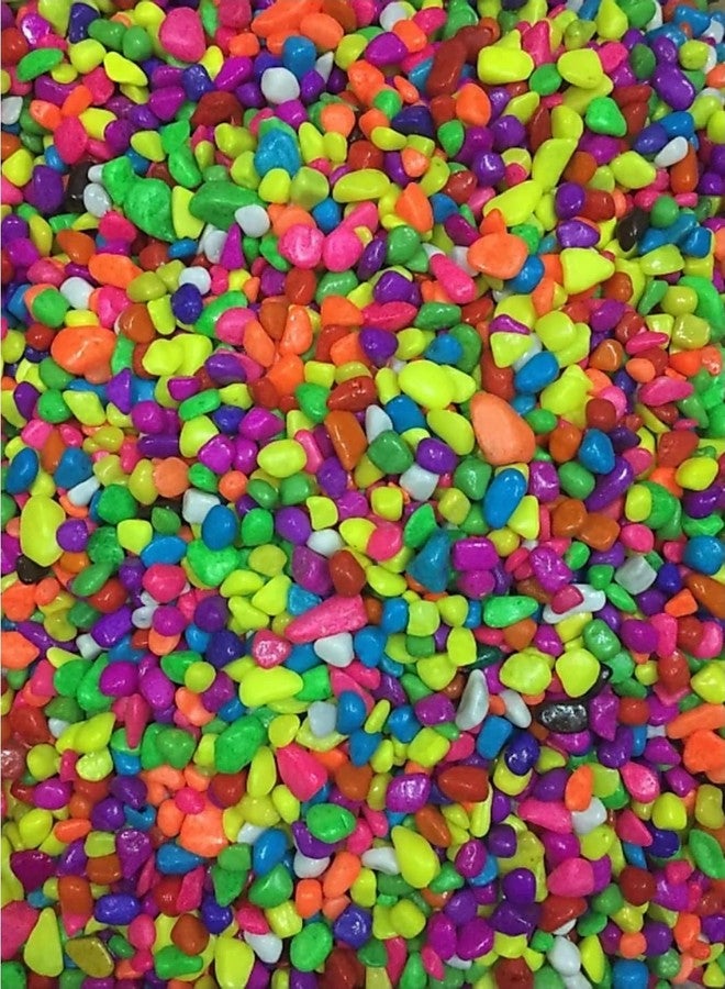 DS1 Multi-Colored Pebbles, Gravels, Stones for Aquarium and Home Decoration, Multi-Colored (900) - Image 1