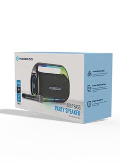 TWS Karaoke Speaker 150W with Wireless Microphone / Deep Bass Party Speaker / Atmospheric Light / Power Bank Function - Silver - pzsku/Z7D09C6E92BC6AF67E84FZ/45/_/1730795498/a18a990a-a298-4584-9916-7e6aa832c629