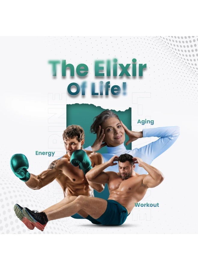 ويت وورلد إل-تورين 1000 مجم – 180 كبسولة، صنع في المملكة المتحدة – يدعم الطاقة، التحمل وصحة الجهاز العصبي - Image 3