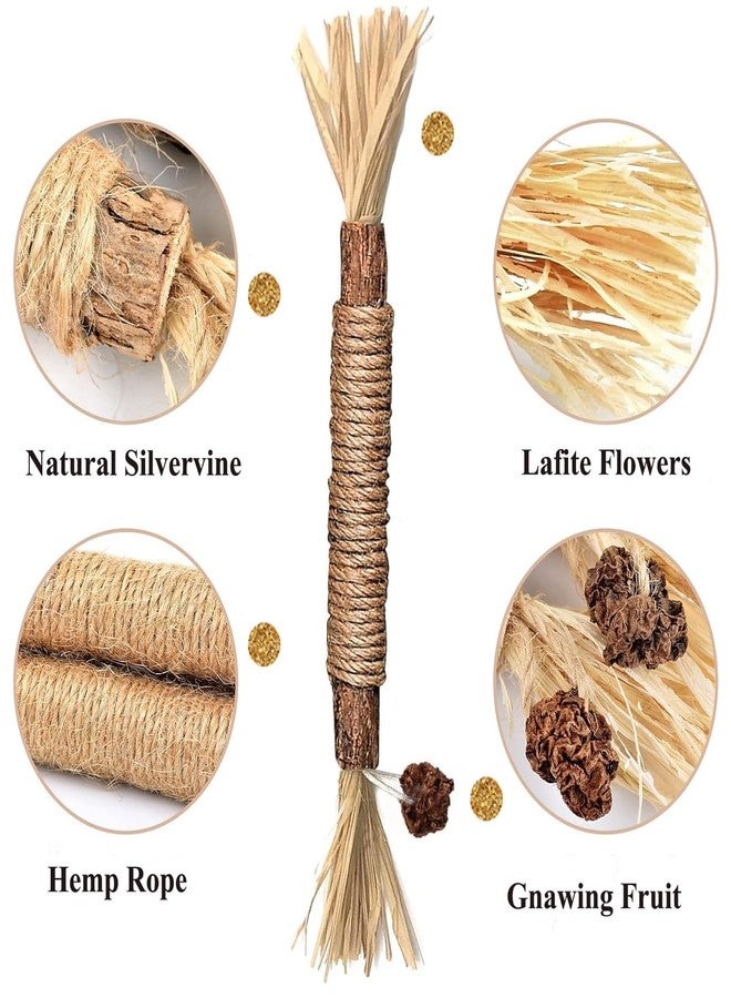 itPlus Cat Toys Chew Ropes, Silvervine Sticks Catnip Rope Toys with Refillable Natural Catnip for Cats Dental Care, Safe Teeth Cleaning Toy for Indoor Cat Kitty Kicker Toy Interactive Catnip Kitty Toys - Image 2