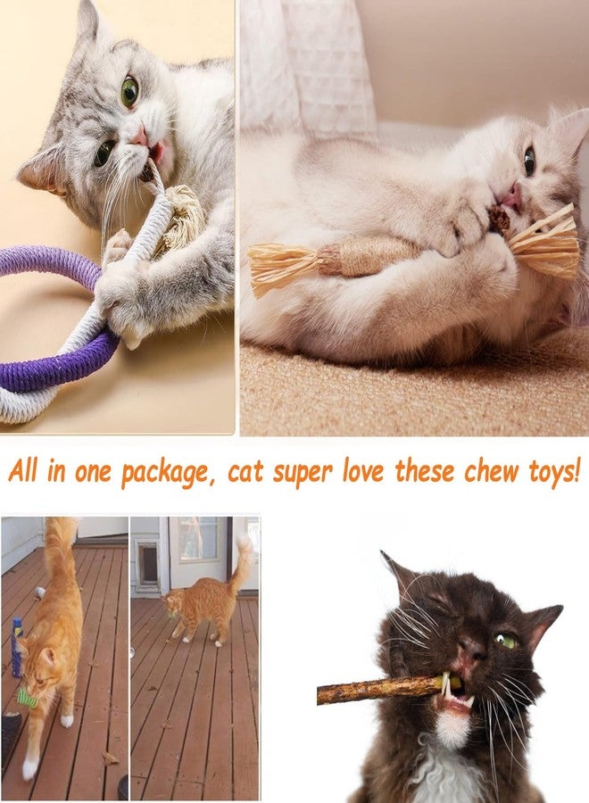 itPlus Cat Toys Chew Ropes, Silvervine Sticks Catnip Rope Toys with Refillable Natural Catnip for Cats Dental Care, Safe Teeth Cleaning Toy for Indoor Cat Kitty Kicker Toy Interactive Catnip Kitty Toys - Image 5