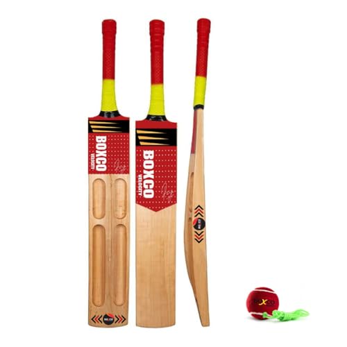 BOXCO Velocity Wooden Cricket Bat with Tennis Ball Durable Bat & Hanging Practice Ball Set - Image 1