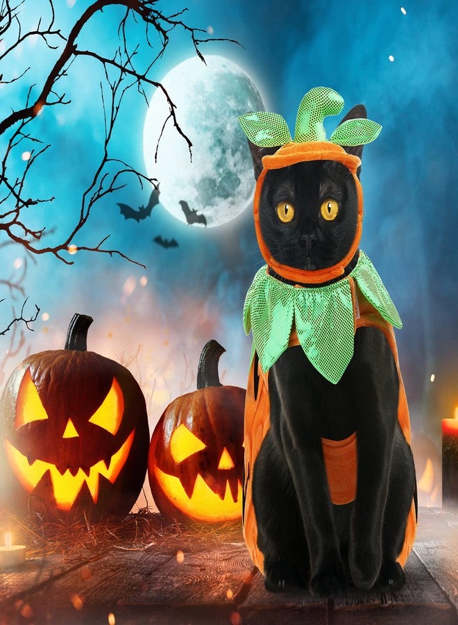 بوتشن طقم أزياء قطط من 5 قطع من بوتشن، يتضمن تنورة توتو، طوق، قبعة ساحرة، قبعة على شكل يقطينة، أجنحة خفاش، ملابس قطط صغيرة لطيفة، وإكسسوارات تنكرية للحيوانات الأليفة، مناسب للهالوين وعيد الشكر. - Image 5