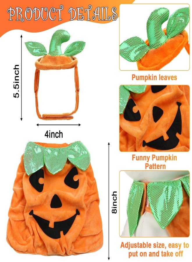 بوتشن طقم أزياء قطط من 5 قطع من بوتشن، يتضمن تنورة توتو، طوق، قبعة ساحرة، قبعة على شكل يقطينة، أجنحة خفاش، ملابس قطط صغيرة لطيفة، وإكسسوارات تنكرية للحيوانات الأليفة، مناسب للهالوين وعيد الشكر. - Image 3