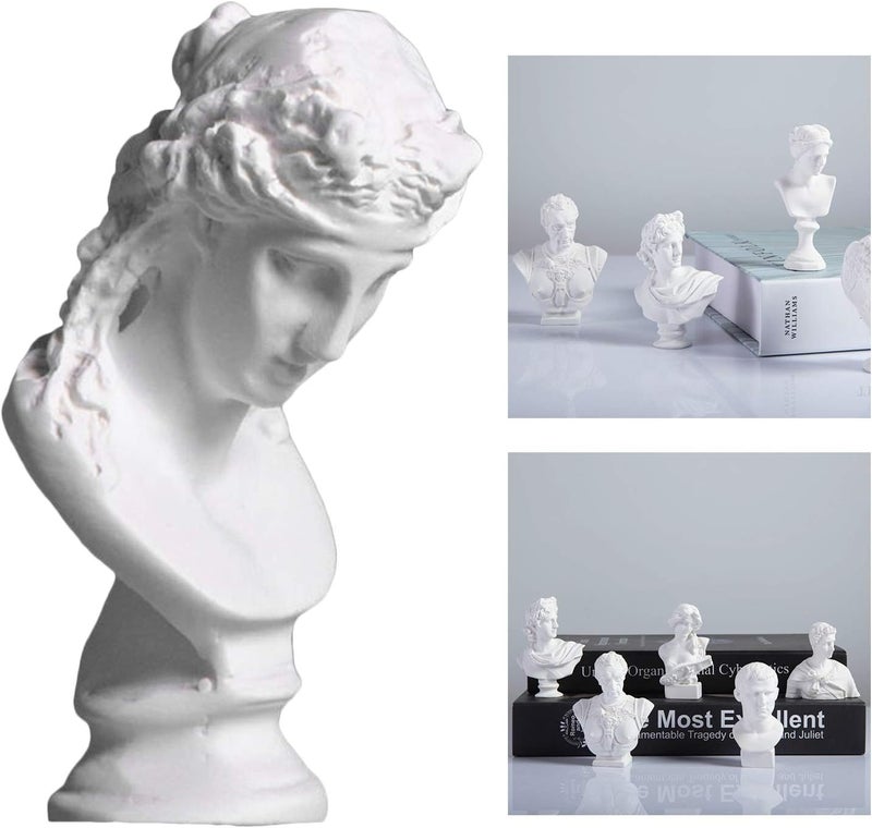 klarakoBust Statue Sculpture,Classic Greek Figure Head Statue Art Craft Resin Figurine Head Sculptures Decoration Sketch Ornament Small klarakoArias - Image 4