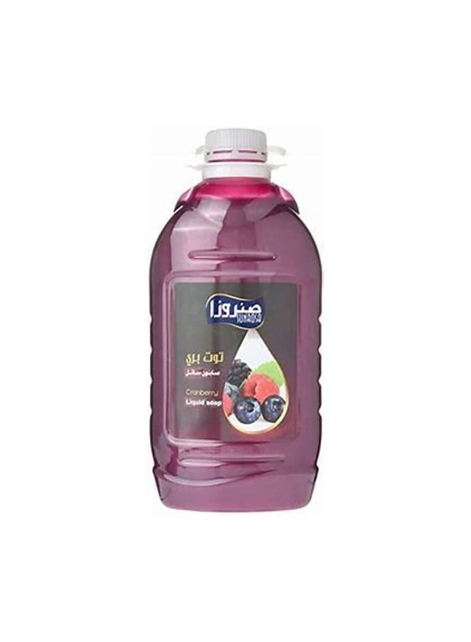 Sunrosa Hand Soap Cranberry, 2200Ml