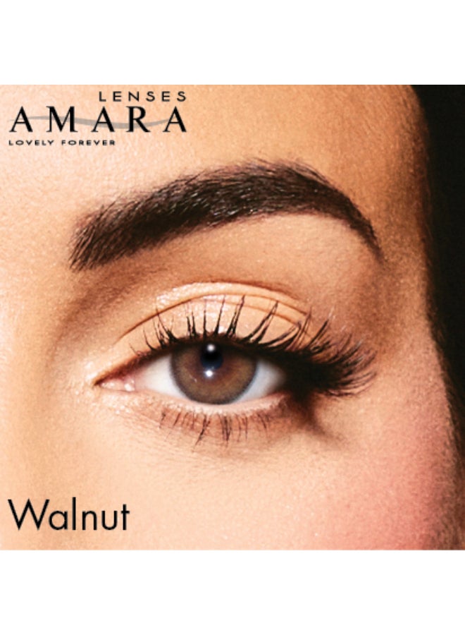 Amara Women Women's Color Contact Lens - Walnut Monthly - Image 2