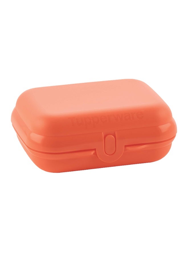 علبة صغيرة متعددة الاستخدامات