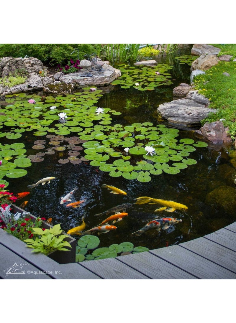 Aquascape Aquascape SAB Stream  Pond Clean Water Treatment 8oz  98999  - Image 4