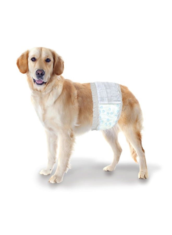 four paws أغطية ذكور الكلاب القابلة للتصرف من وي وي - مقاس متوسط / كبير (12 قطعة) - Image 1