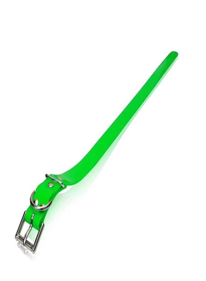 Dog Strap Size: 1" W x 30" D, Color: Green
