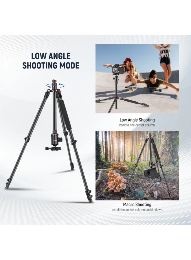NEEWER Aluminum Travel Tripod for Camera & Phone, 77" Portable Tripod with 360° Ball Head, Flip Lock, Monopod Conversion, Macro Photography, Outdoor Lightweight Stand for DSLR Canon Nikon iPhone 16 15 14 - Image 5