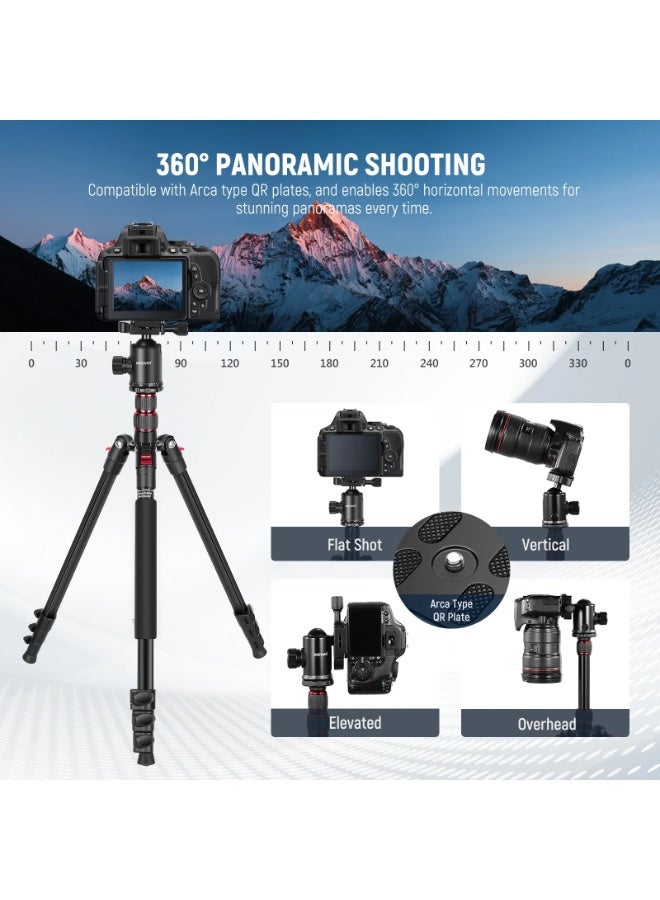 NEEWER Aluminum Travel Tripod for Camera & Phone, 77" Portable Tripod with 360° Ball Head, Flip Lock, Monopod Conversion, Macro Photography, Outdoor Lightweight Stand for DSLR Canon Nikon iPhone 16 15 14 - Image 4