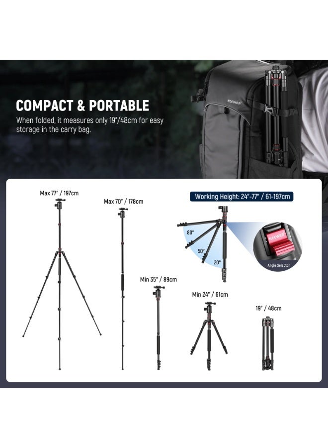 NEEWER Aluminum Travel Tripod for Camera & Phone, 77" Portable Tripod with 360° Ball Head, Flip Lock, Monopod Conversion, Macro Photography, Outdoor Lightweight Stand for DSLR Canon Nikon iPhone 16 15 14 - Image 3