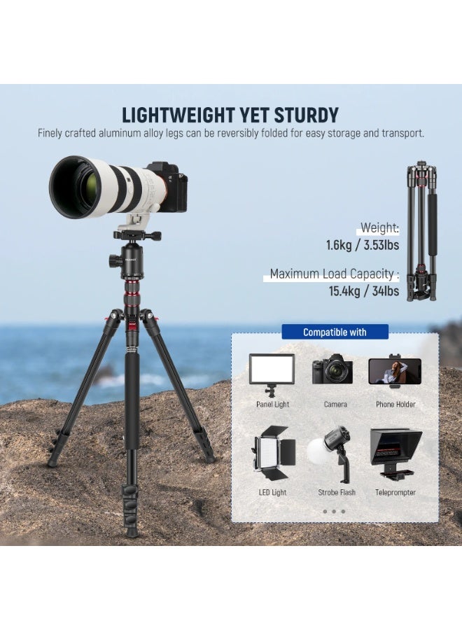 NEEWER Aluminum Travel Tripod for Camera & Phone, 77" Portable Tripod with 360° Ball Head, Flip Lock, Monopod Conversion, Macro Photography, Outdoor Lightweight Stand for DSLR Canon Nikon iPhone 16 15 14 - Image 2