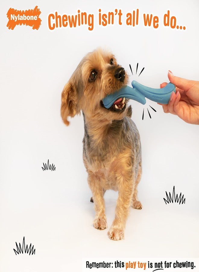 Nylabone Stik-GO Interactive Dog Fetch Toy for Small Dogs - Lightweight Flexible Floatable Dog Toy for Creative Play & Exercise - Image 3
