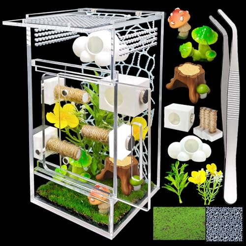 KFPSHLQE Jumping Spider EnclosureDIY Insects HabitatSmall Reptile Terrarium Glass House Accessories Setwith Jumping Platform Hide Climbing NetGreen 2 - Image 1