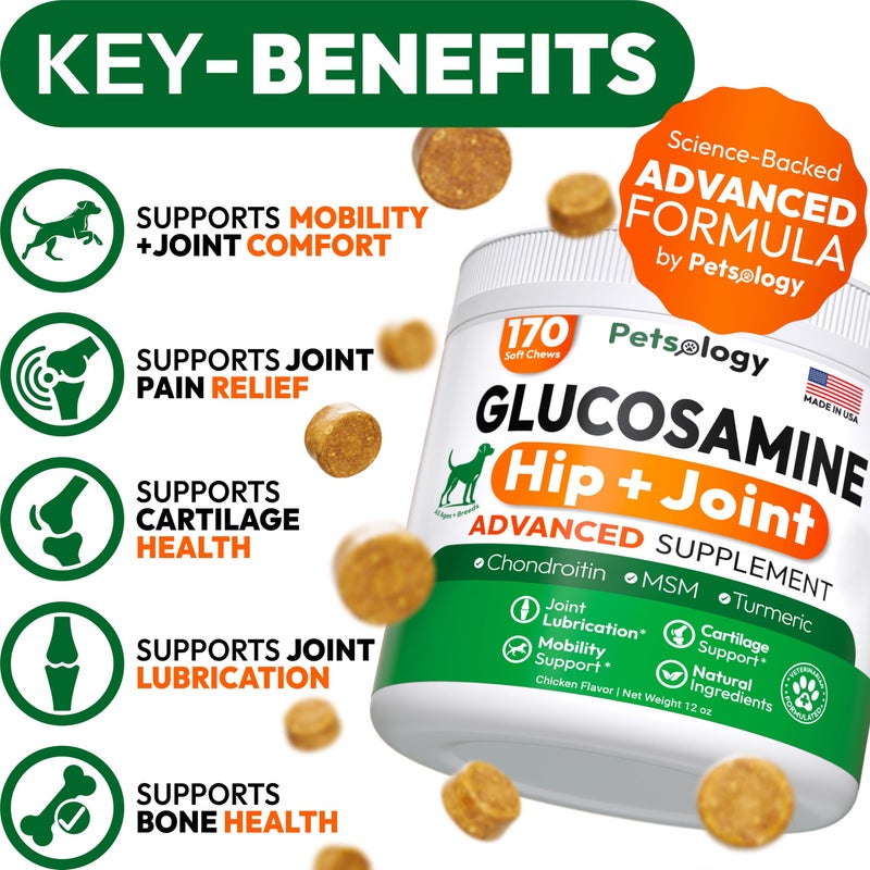 Petsology Glucosamine for Dogs - Hip and Joint Supplement for Dogs - 170 Mobility Chews - Glucosamine Chondroitin - MSM - Turmeric - Joint Pain Relief - Advanced Support for Dog Health - Made in USA - Image 2