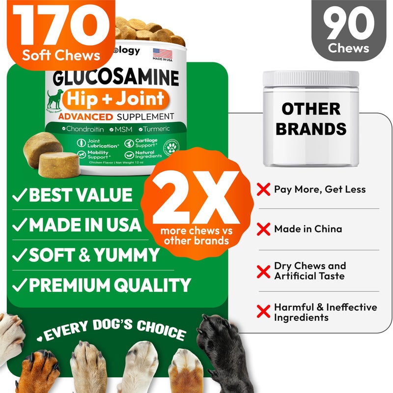 Petsology Glucosamine for Dogs - Hip and Joint Supplement for Dogs - 170 Mobility Chews - Glucosamine Chondroitin - MSM - Turmeric - Joint Pain Relief - Advanced Support for Dog Health - Made in USA - Image 5