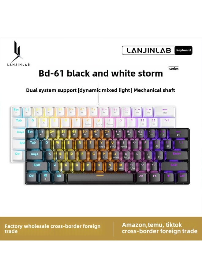 Generic 61 Key Wired Mechanical ACE Mixed Lights Hot Plug Mechanical Red Axis Mute Green Axis Office Game Keyboard Cross-border-Color:61 Keys - White And Black - Rgb - Sleeve Brown Switches  - Image 2