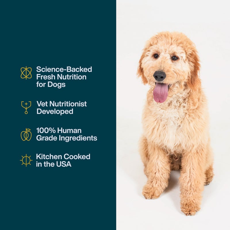 JustFoodForDogs JustFresh Wet Dog Food, Fresh Pet Meals and Toppers with No Preservatives, Resealable Package, Human Grade, Home-Cooked Chicken, 12 oz - 7 Pack - Image 5