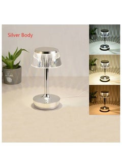 Silver Body
