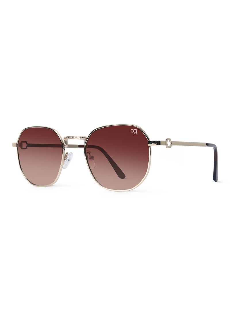 Woggles UV- Protected  Brown Hexagonal Sunglasses  - Image 4