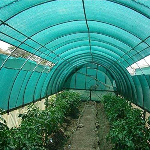 BENAVJI Green Shade Net 50% UV Sun Protected for Terrace, Garden, Green House, Balcony & Gardening Multipurpose Agro net Size 32 * 8 - Image 4