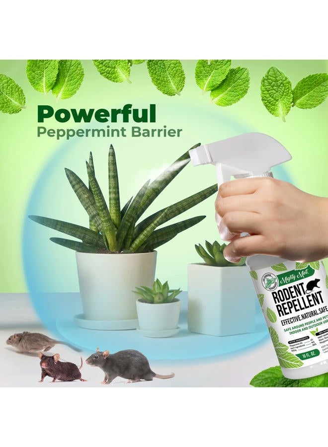 Mighty Mint رذاذ طارد القوارض بزيت النعناع - تحكم طبيعي داخلي وخارجي للفئران والجرذان - تركيبة نباتية، قوية للغاية - 16 أونصة - Image 2