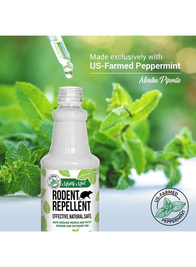 Mighty Mint رذاذ طارد القوارض بزيت النعناع - تحكم طبيعي داخلي وخارجي للفئران والجرذان - تركيبة نباتية، قوية للغاية - 16 أونصة - Image 4