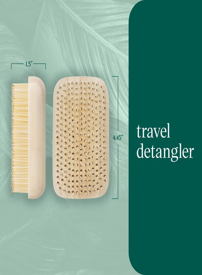 EcoTools Travel Detangler Hairbrush, Gently Detangle & Smooth Hair, Brush For Wet Or Dry Hair, Heat Resistant, Mini Renewable Bamboo Hairbrush For Styling On-The-Go, Vegan & Cruelty-Free, 1 Count - Image 4