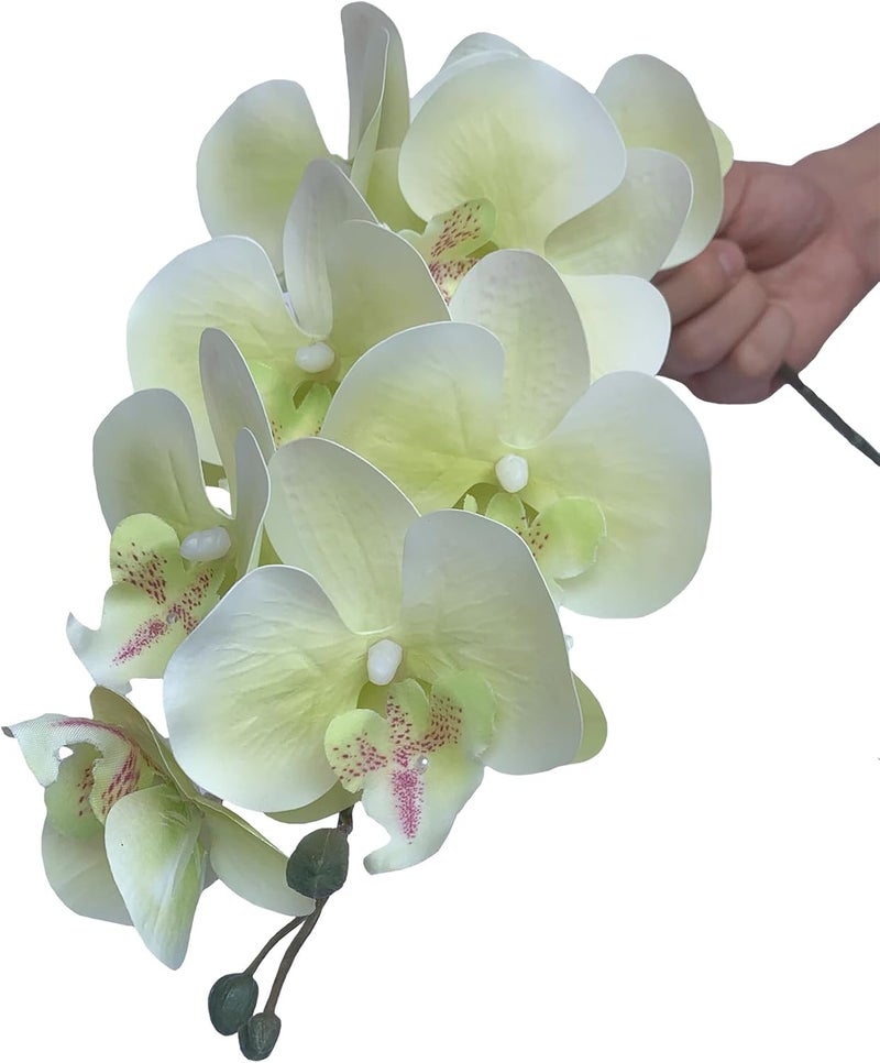 FagusHome Artificial Phalaenopsis Orchids on Stem for Home Decoration - 80cm - Pack of 6 - Light Green - Image 3