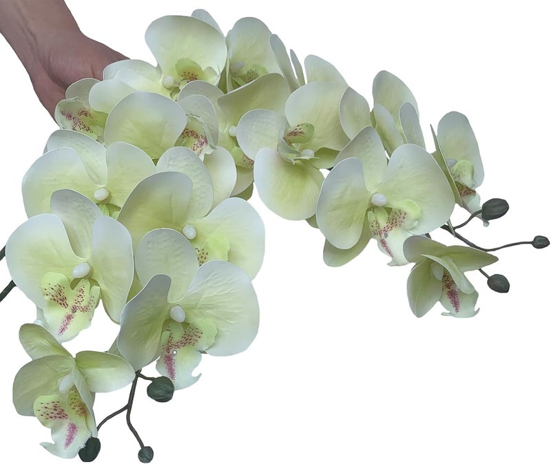 FagusHome Artificial Phalaenopsis Orchids on Stem for Home Decoration - 80cm - Pack of 6 - Light Green - Image 4