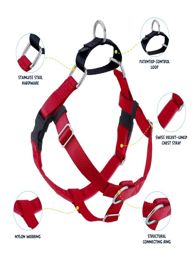 2 Hounds Design Freedom No Pull Dog Harness, Adjustable Harness, Easy Walking & Comfortable Control, Fits Small, Medium & Large Dogs, Solid Colors, Made in USA, 1" LG, Red - Image 2
