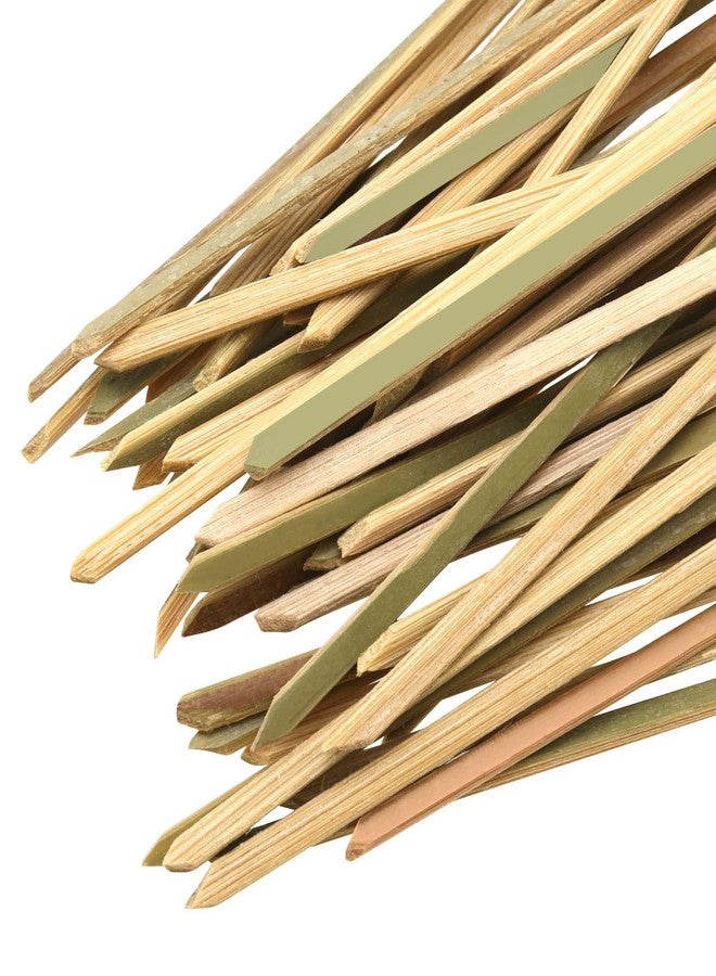 بينجيو PINGEUI ١٥٠٠ قطعة من أعواد الكوكتيل المصنوعة من الخيزران بطول ٤.٧ بوصة، أعواد خيزران معقودة، أعواد أسنان خضراء، أعواد طعام مصنوعة يدويًا معقودة للمقبلات، أعواد طعام، أعواد كوكتيل - Image 3