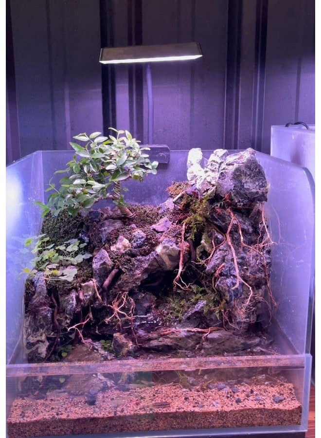 VAYINATO Neo Helios Flat Nano S3 Plus, 13W Full Spectrum Planted Tank Led Aquarium Light By Petzlifeworld - Image 5