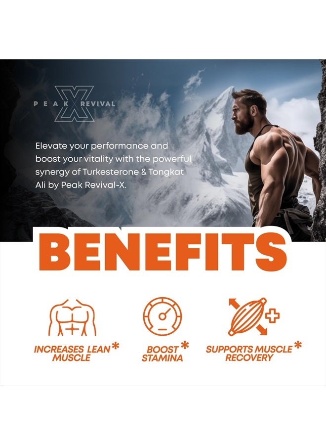 Peak Revival-X Turkesterone & Tongkat Ali 1000mg Supplement - 500mg Ajuga Turkestanica Per Serving Increase Stamina, Lean Muscle Growth & Recovery - Made in The USA (60 Capsules) - Image 4