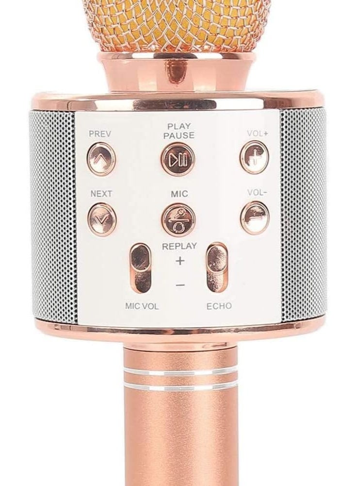 Woster MIC-WS-858 Handheld Wireless Bluetooth Karaoke Microphone - Image 2
